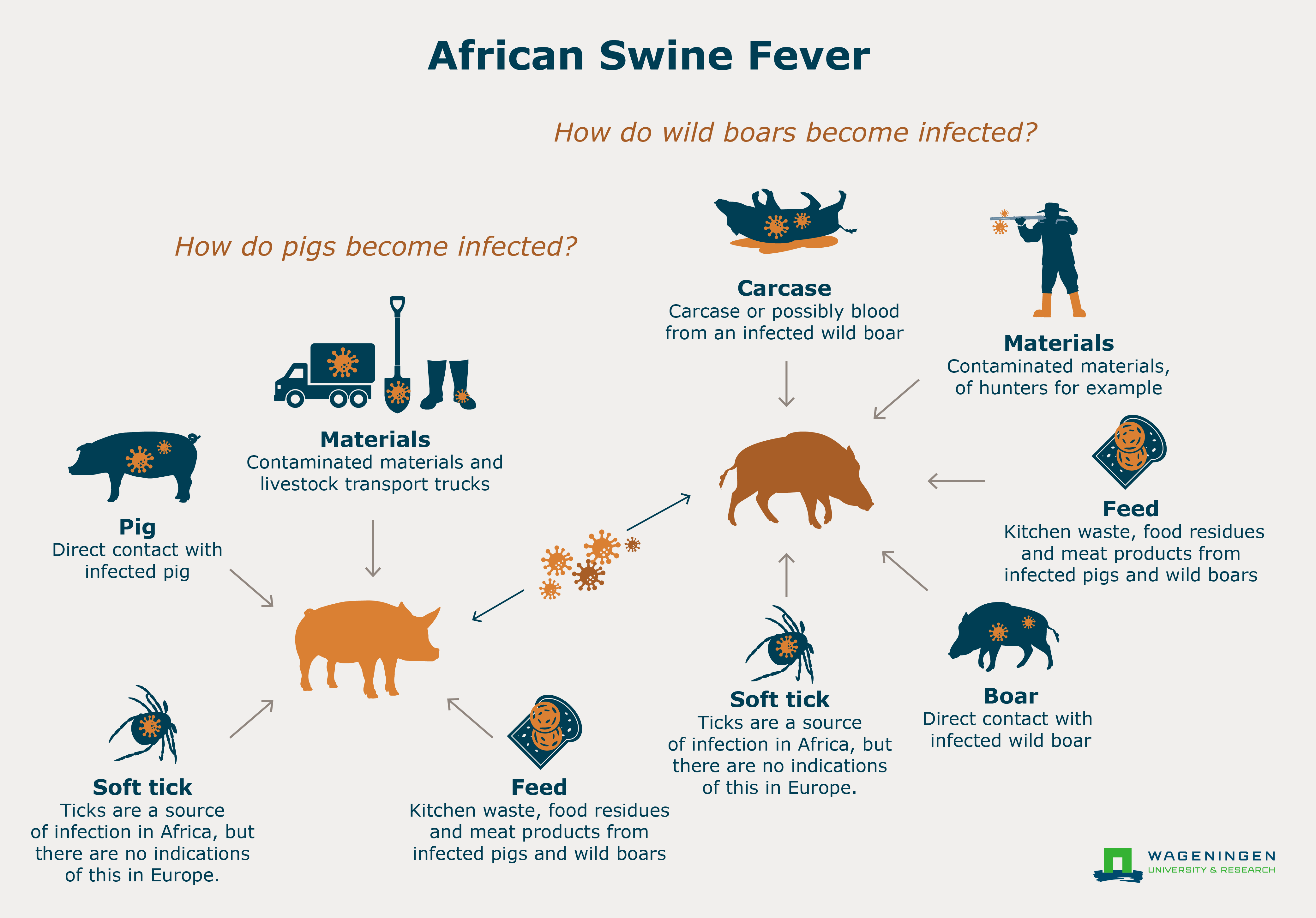 Pikoline - African Swine Fever; Information, Development and Control
